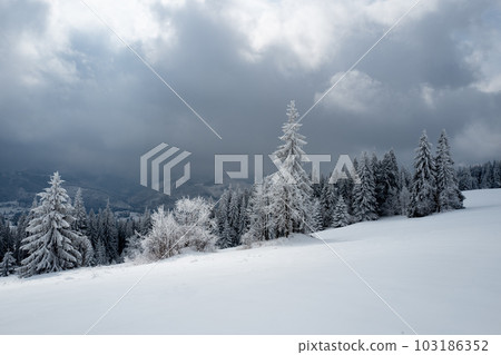 Vasyl Helevachuk 103186352