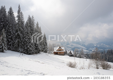 house standing on the outskirts of the forest house standing on the outskirts of the forest 103186355