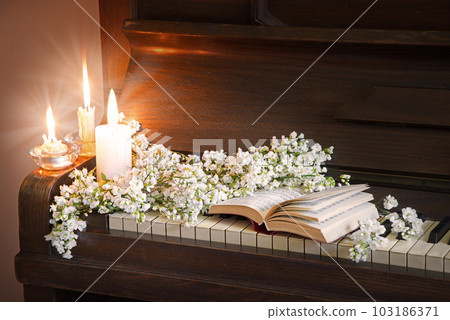 The book lies on the piano keys 103186371