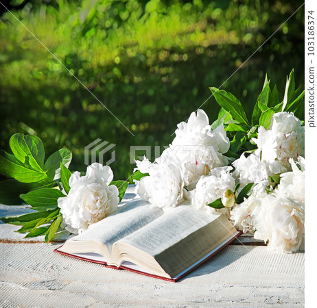 Bible and a bouquet of peonies on a table in the garden 103186374
