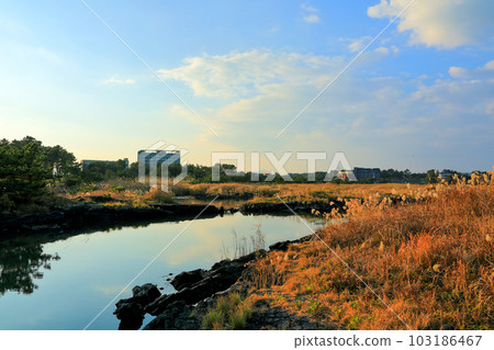 Beautiful scenery of Seongsan Ilchulbong Peak, a famous tourist attraction in Jeju Island. Beautiful scenery of Seongsan Ilchulbong Peak, a famous tourist attraction in Jeju Island. 103186467