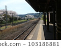 Cherry Blossom Festival  103186881