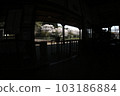 Cherry Blossom Festival  103186884