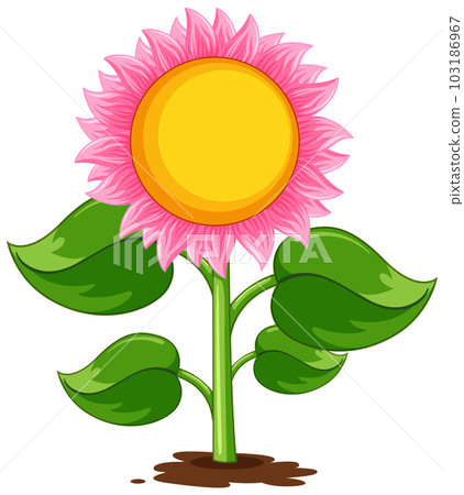 Sunflower plant cartoon isolated 103186967