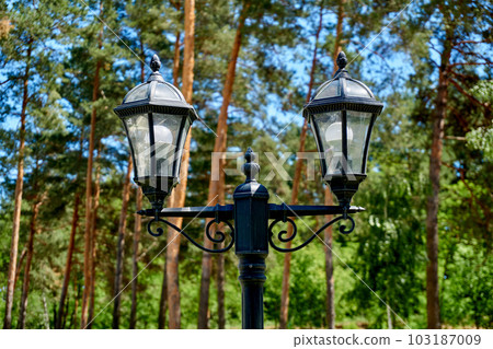 Lamppost with two street vintage lanterns close-up and green cheerful pines Lamppost with two street vintage lanterns close-up and green cheerful pines 103187009