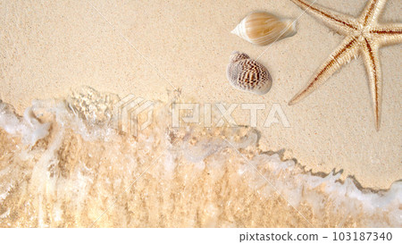 Seashells and starfish with ocean water waves 103187340