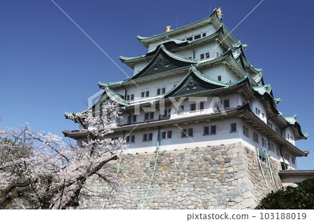 愛知縣佐倉市名城公園名古屋城 愛知縣佐倉市名城公園名古屋城 103188019