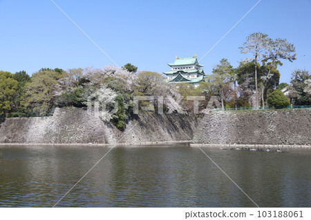 Nagoya Castle, Meijo Park, Sakura, Aichi Prefecture Nagoya Castle, Meijo Park, Sakura, Aichi Prefecture 103188061