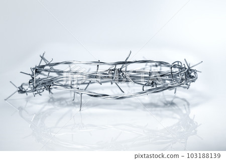 Barbed wire 103188139