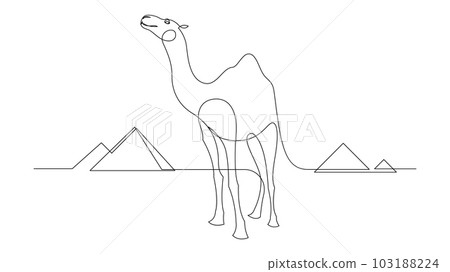 Continuous one line drawing camel walking in the desert with pyramids in the background. Single line draw design vector graphic illustration. Continuous one line drawing camel walking in the desert with pyramids in the background. Single line draw design vector graphic illustration. 103188224