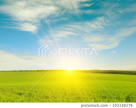 Dawn over wheat field and bright blue sky. 103188276