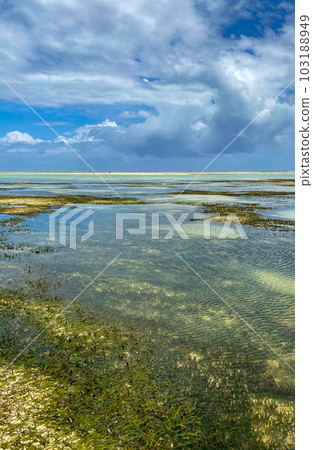 Melia Zanzibar beach on low tide. Panorama. Blue sky. High quality photo Melia Zanzibar beach on low tide. Panorama. Blue sky. High quality photo 103188949