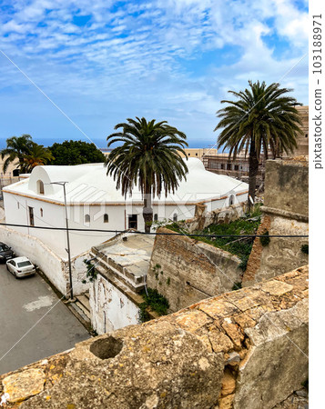 Top view of the Palace of the Dey in Casbah of Algiers. High quality photo 103188971