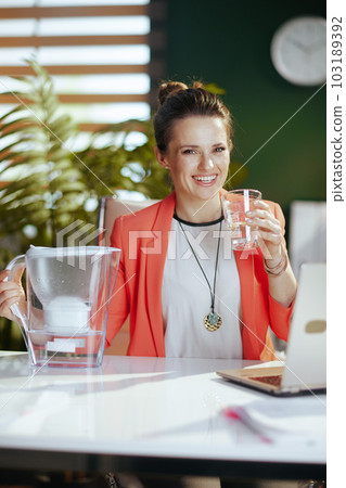 Portrait of happy business owner woman in green office 103189392