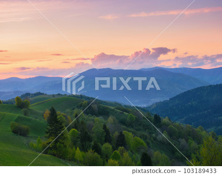 meadows of carpathian mountain. rural landscape with trees on the rolling hills at dusk in spring meadows of carpathian mountain. rural landscape with trees on the rolling hills at dusk in spring 103189433