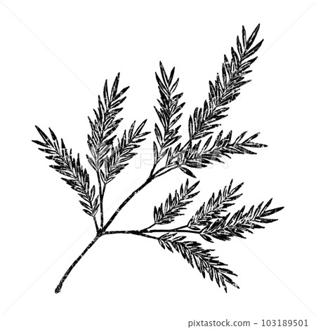 Tea tree (single item) / stamp Tea tree (single item) / stamp 103189501