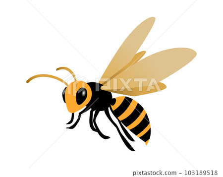 Simple illustration of a flying wasp Simple illustration of a flying wasp 103189518