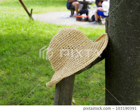 straw hat, straw hat, paper fiber material straw hat, straw hat, paper fiber material 103190391