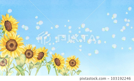 Blue sky background illustration of sunflower field and soap bubbles painted by watercolor 103192246