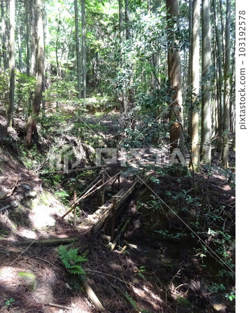 Kyoto 1 round trail 103192578
