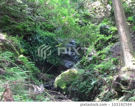 Kyoto 1 round trail 103192584