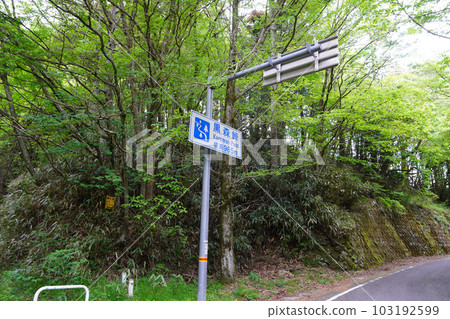 Kuromori Pass/Ehime Prefecture 103192599