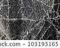 glass broken into a large number of pieces and cracks 103193165