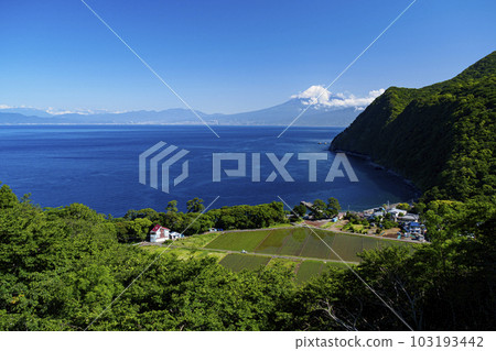 Glittering Hill (Ida, Numazu City, Shizuoka Prefecture) 103193442