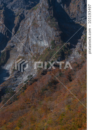 Autumn leaves of Ichino Kurasawa on Mt. Tanigawa Autumn leaves of Ichino Kurasawa on Mt. Tanigawa 103193497