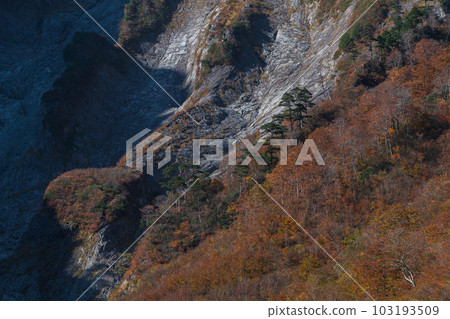Autumn leaves of Ichino Kurasawa on Mt. Tanigawa Autumn leaves of Ichino Kurasawa on Mt. Tanigawa 103193509