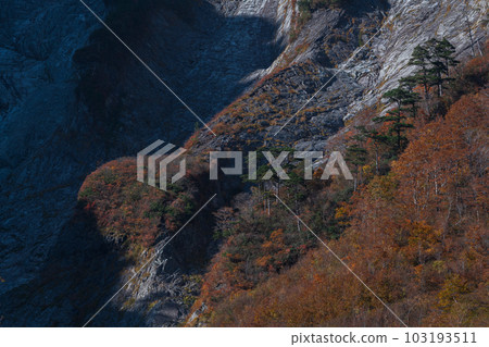 Autumn leaves of Ichino Kurasawa on Mt. Tanigawa Autumn leaves of Ichino Kurasawa on Mt. Tanigawa 103193511