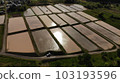 Rice paddy field 103193596