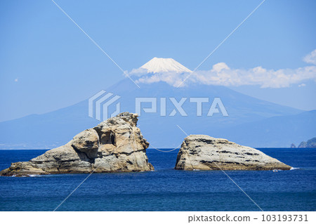 Early summer on the Kumomi coast 103193731