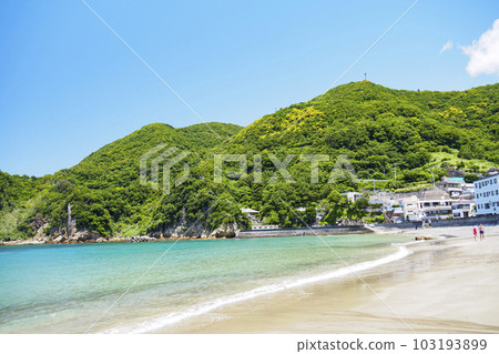 Early summer on the Miura coast Early summer on the Miura coast 103193899