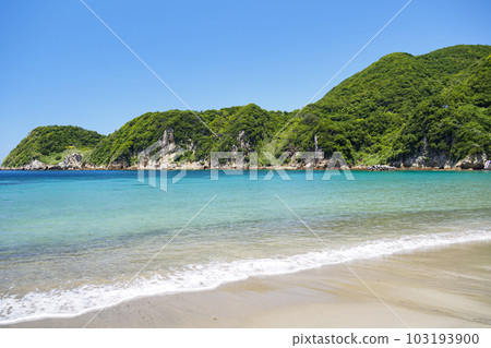 三浦海岸的初夏 三浦海岸的初夏 103193900