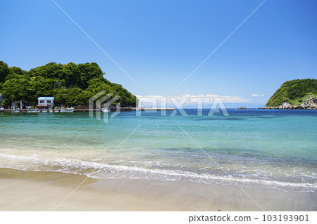 三浦海岸的初夏 三浦海岸的初夏 103193901