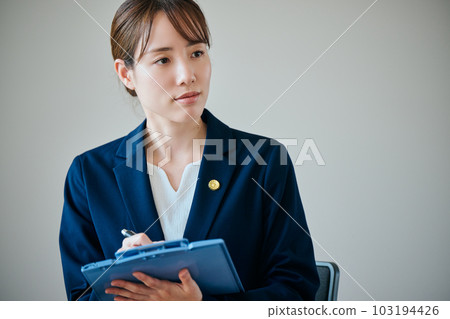 Young female lawyer interviewing client at legal consultation 103194426