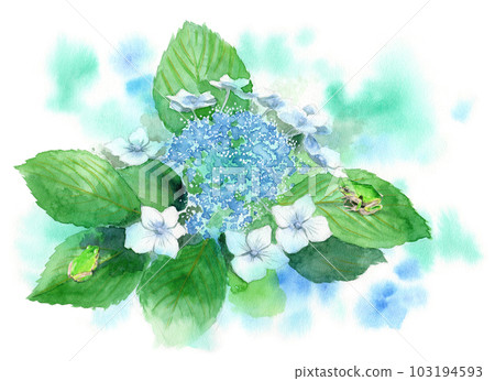 Two tree frogs on analog watercolor hydrangea leaves Two tree frogs on analog watercolor hydrangea leaves 103194593