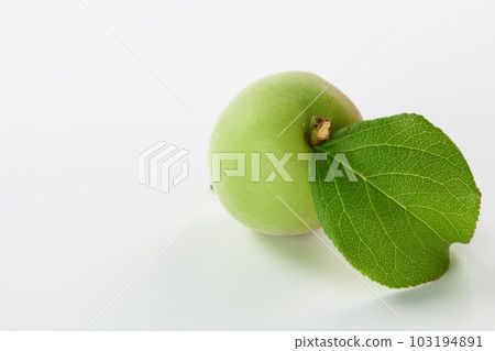 白色背景的李子果實 103194891
