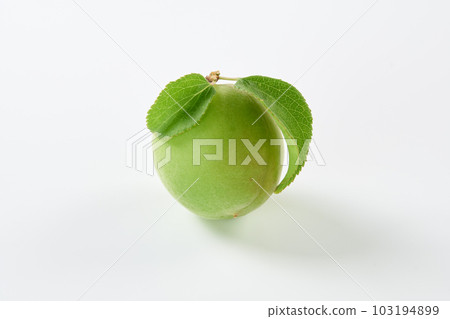 Plum fruit with white background 103194899