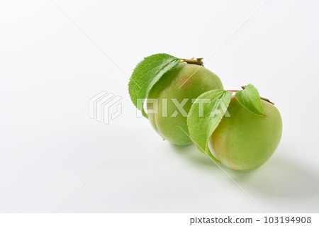 Plum fruit with white background 103194908