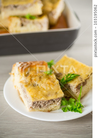 Cooked meat pie, pieces in a plate 103195062