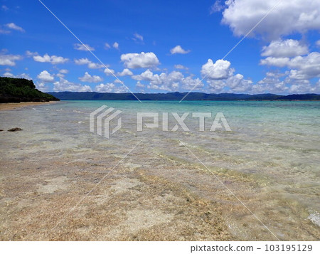 Hatoma Blue Sea Hatoma Blue Sea 103195129