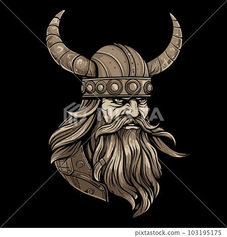Viking in a helmet 103195175