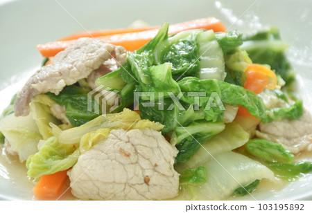 stir fried slice green Chinese cabbage and carrot with pork on plate    103195892