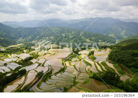 高知縣本山町吉信梯田 103196364