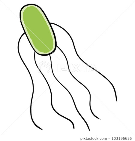 illustration of salmonella 103196656