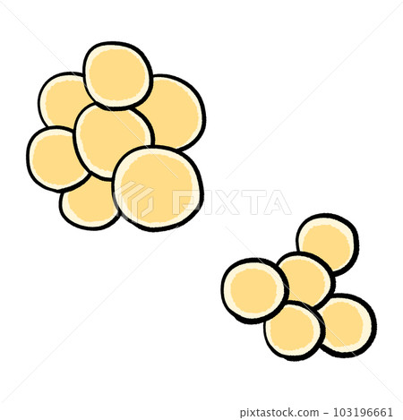 金黃色葡萄球菌的插圖 金黃色葡萄球菌的插圖 103196661