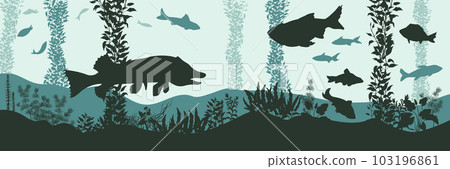 Underwater river panorama. Fluvial scene with fishes and aquatic plants. Lake wildlife poster. Bottom pond animals banner 103196861