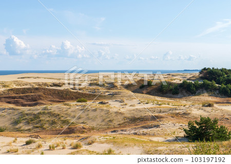 Curonian Spit landscape, sandy coastal dunes on a sunny summer day Curonian Spit landscape, sandy coastal dunes on a sunny summer day 103197192